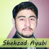 Shehzad Ayubi - Shahzad Ayubi's Khowar Sad Song - Single
